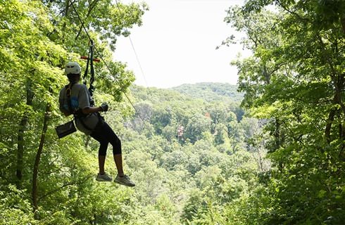 Person on a zipline going through heavily wooded area